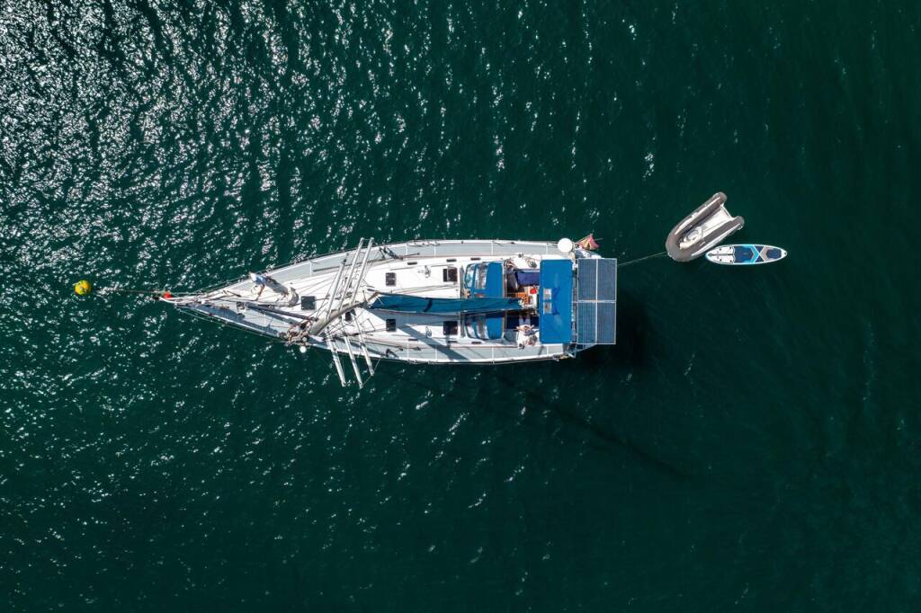 Cigale 16 Sargantal Zulu