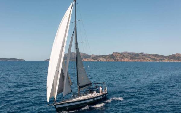 Cigale 16 Sargantal Zulu