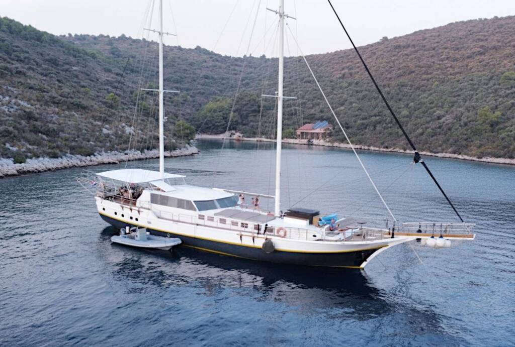Nautilus Nautilus